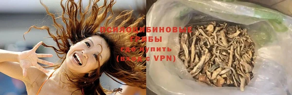 мяу мяу мука Лабытнанги